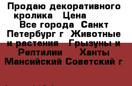 Продаю декоративного кролика › Цена ­ 500 - Все города, Санкт-Петербург г. Животные и растения » Грызуны и Рептилии   . Ханты-Мансийский,Советский г.